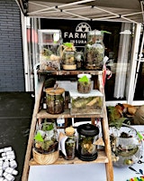 Terrarium making on the Farm