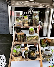 Terrarium making on the Farm