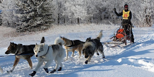 Imagen principal de Frozen Trails and Wagging Tails: Dog Sledding Delight @ SW OLRA NEW DATE