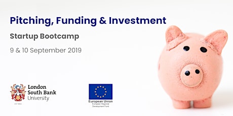 Low-Carbon Startup Bootcamp: Pitching, Funding & Investment