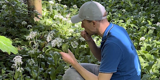 Introduction to Foraging Course, Sheffield  primärbild