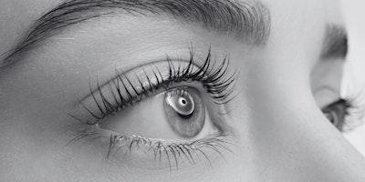 Primaire afbeelding van Lash Lift Comprehensive Training | LASH LAB INSTITUTE