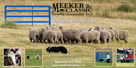 2024 Meeker Classic Sheepdog Championship Trials