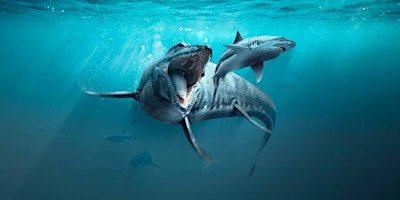 Image principale de Sea Monsters Exhibition