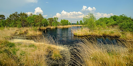 Hauptbild für LANDSCHAFTSFOTOGRAFIE LÜNEBURGER HEIDE