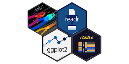 Primaire afbeelding van Introduction to R