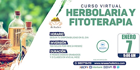 Hauptbild für Curso de Herbolaria y Fitoterapia 2024