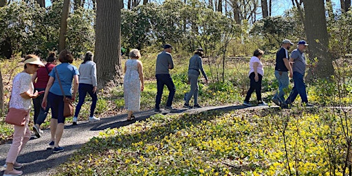 Hauptbild für Wednesday Walkabouts