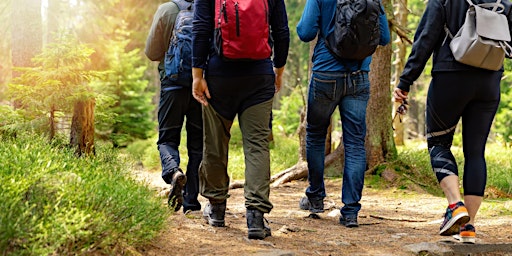 Hauptbild für Single-Wanderung mit Achtsamkeit und Meditation