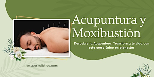 Curso de Acupuntura y Moxbustión 2024 primary image