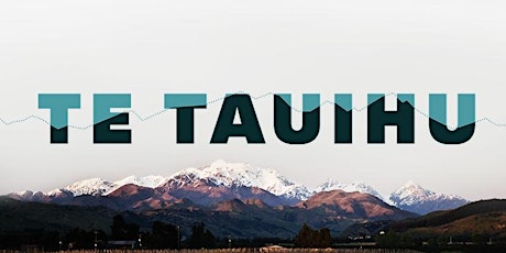 Te Tauihu Talks - Young Professionals Evening primary image