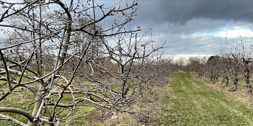 Winter Orchard Walk at the Cidery - Select Your  Saturday! primary image