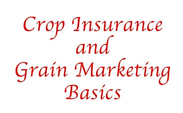 Imagen principal de Crop Insurance and Grain Marketing Basics