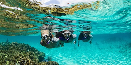 Immagine principale di Snorkeling Tour - Portofino 