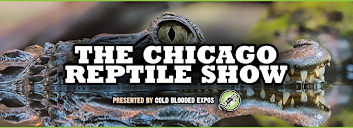 Collection image for Chicago Reptile Show