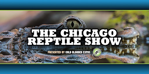 Chicago Reptile Show primary image