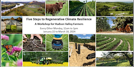 Five Steps to Your Regenerative Climate Resilience Plan primary image