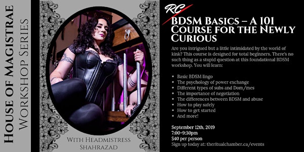 BDSM Basics – A 101 Course for the Newly Curious