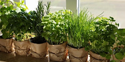 Herbs for Summertime primary image