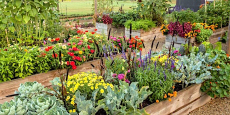 Hauptbild für Raised Bed Vegetable Gardening