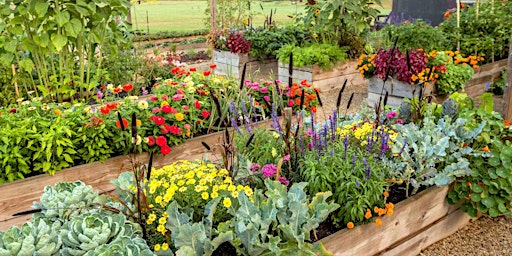 Immagine principale di Raised Bed Vegetable Gardening 