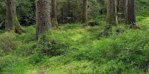 Foraging Walk - Autumn  primärbild