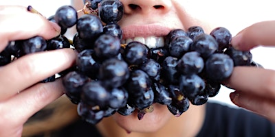 Hauptbild für Dégustation de vin naturel : Sous le Végétal by Patrick Bouju