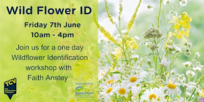 Hauptbild für Wildflower ID Workshop