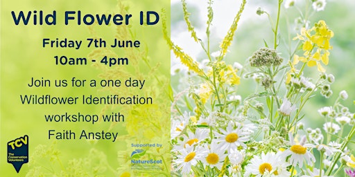 Hauptbild für Wildflower ID Workshop