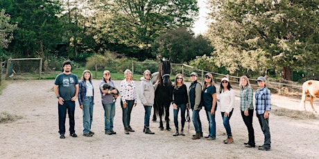 Carolyn Resnick Method Language of Horses Liberty Training Clinic