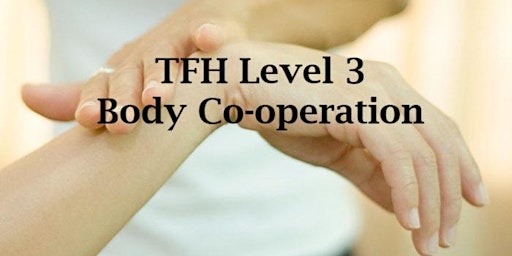 Imagen principal de Touch for Health (TFH) Level 3 Training (3hrs per week for 6 weeks)