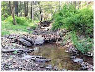 Farming For Clean Water: Common Sense Stewardship on the Conestoga River primary image