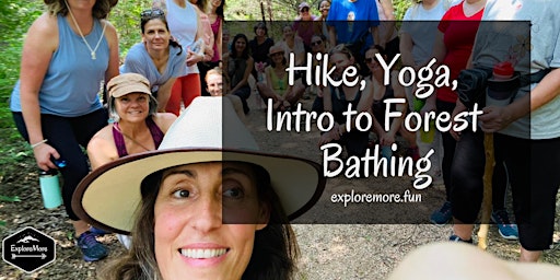 Imagem principal do evento Hike, Yoga and Intro to Forest Bathing