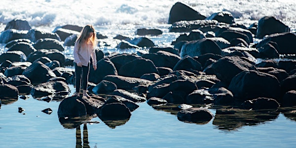 POSTPONED NaturallyGC Rocky Shore Explore