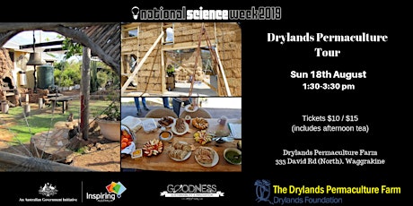 Drylands Permaculture Farm Tour 