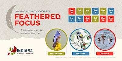 Imagem principal do evento Feathered Focus: A Bird-Centric Virtual Series
