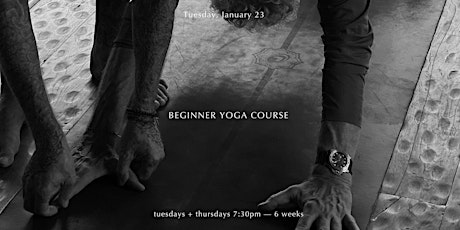 Beginner Yoga Course primary image