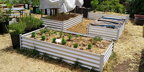 Wicking Bed Workshop / Working Bee primary image