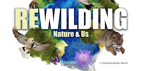 Rewilding, Nature & Us CPD Training Workshop