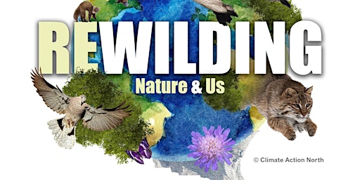 Immagine principale di Rewilding, Nature & Us CPD Training Workshop 