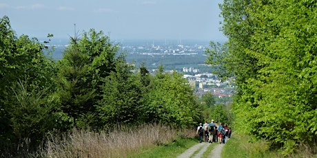 Primaire afbeelding van Singlewanderung: Ettlingen - Ettlinger Linien (40+)