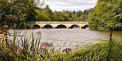 Hauptbild für FITBANKER Trek: Virginia Water Lake (May 4, 2024)