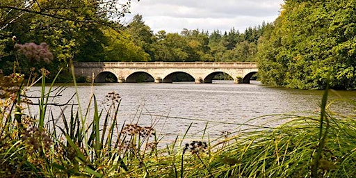 Image principale de FITBANKER Trek: Virginia Water Lake (May 4, 2024)