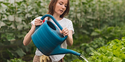 Community Garden:  Build off-grid water collection & automated irrigation primary image