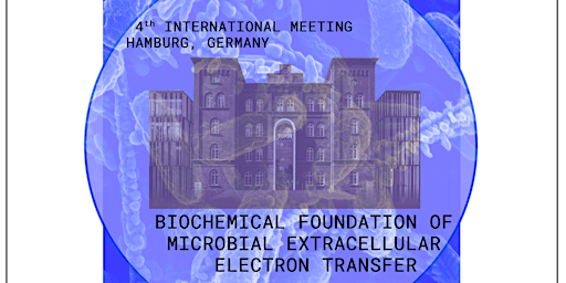 Imagem principal do evento Biochemical Foundation of Microbial Extracellular Electron Transfer