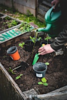Hauptbild für Spring into the garden: gardening fun for adults and children
