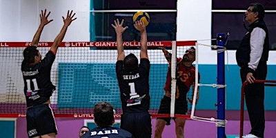 Primaire afbeelding van National Volleyball League London Giants Men's