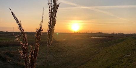 Wilder Kent Safari: History and Wildlife of Oare Marshes