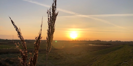 Hauptbild für Wilder Kent Safari: History and Wildlife of Oare Marshes