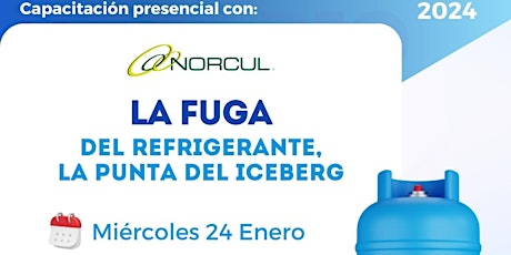 Imagen principal de Mérida - La fuga de Refrigerante, la punta del Iceberg
